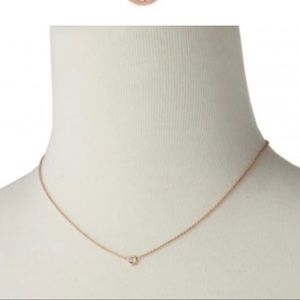 Stella & Dot’s The Wishing Necklace
